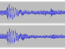 Top Dog Workshops news: One Love (mp3 audio, 2′39″)